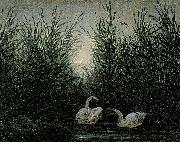 Caspar David Friedrich Schwane im Schilf china oil painting artist
